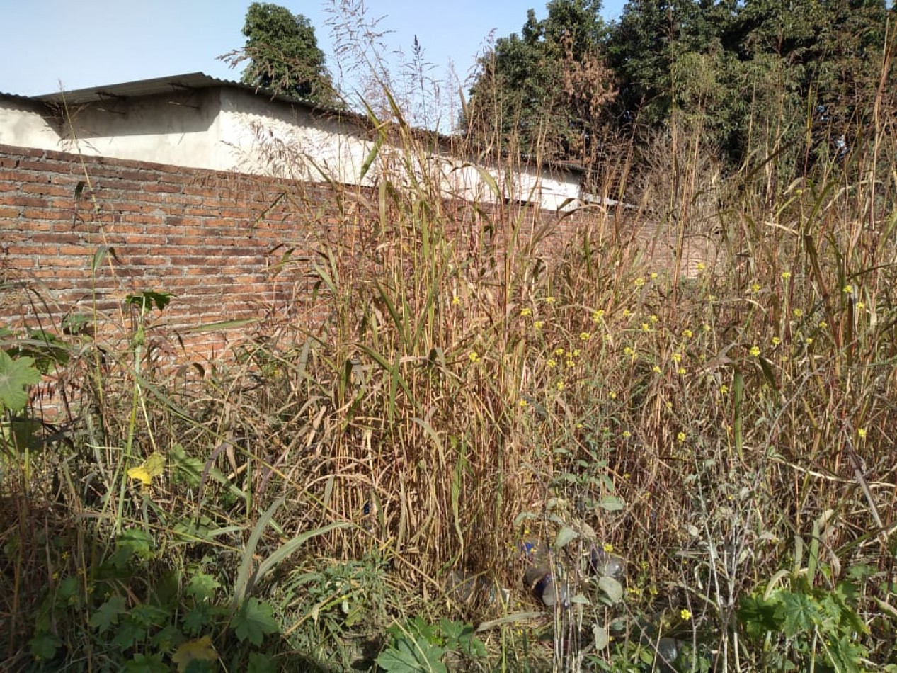 JOSE MALABIA AL 1500